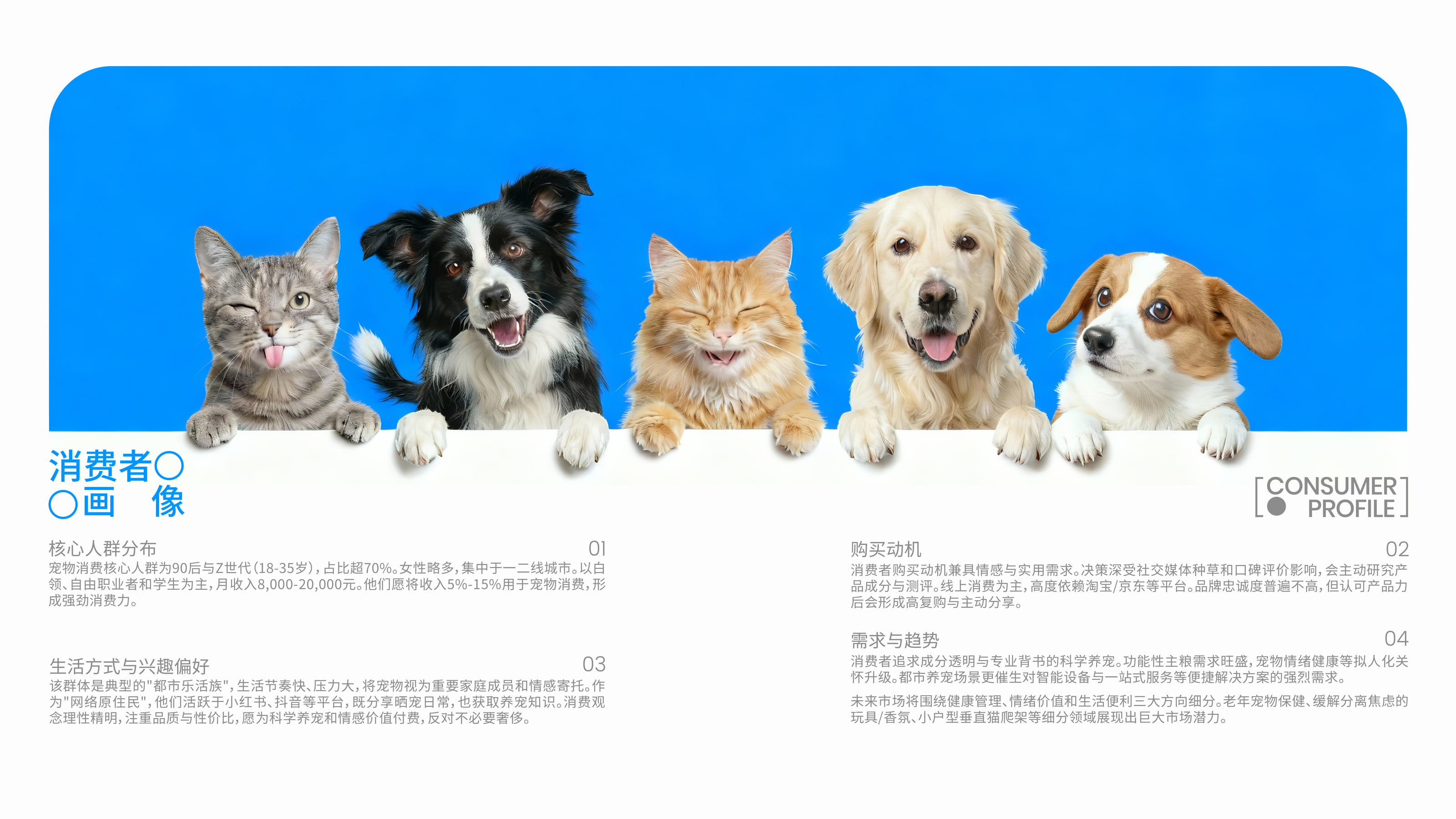 伴宠品牌全案项目页面 5