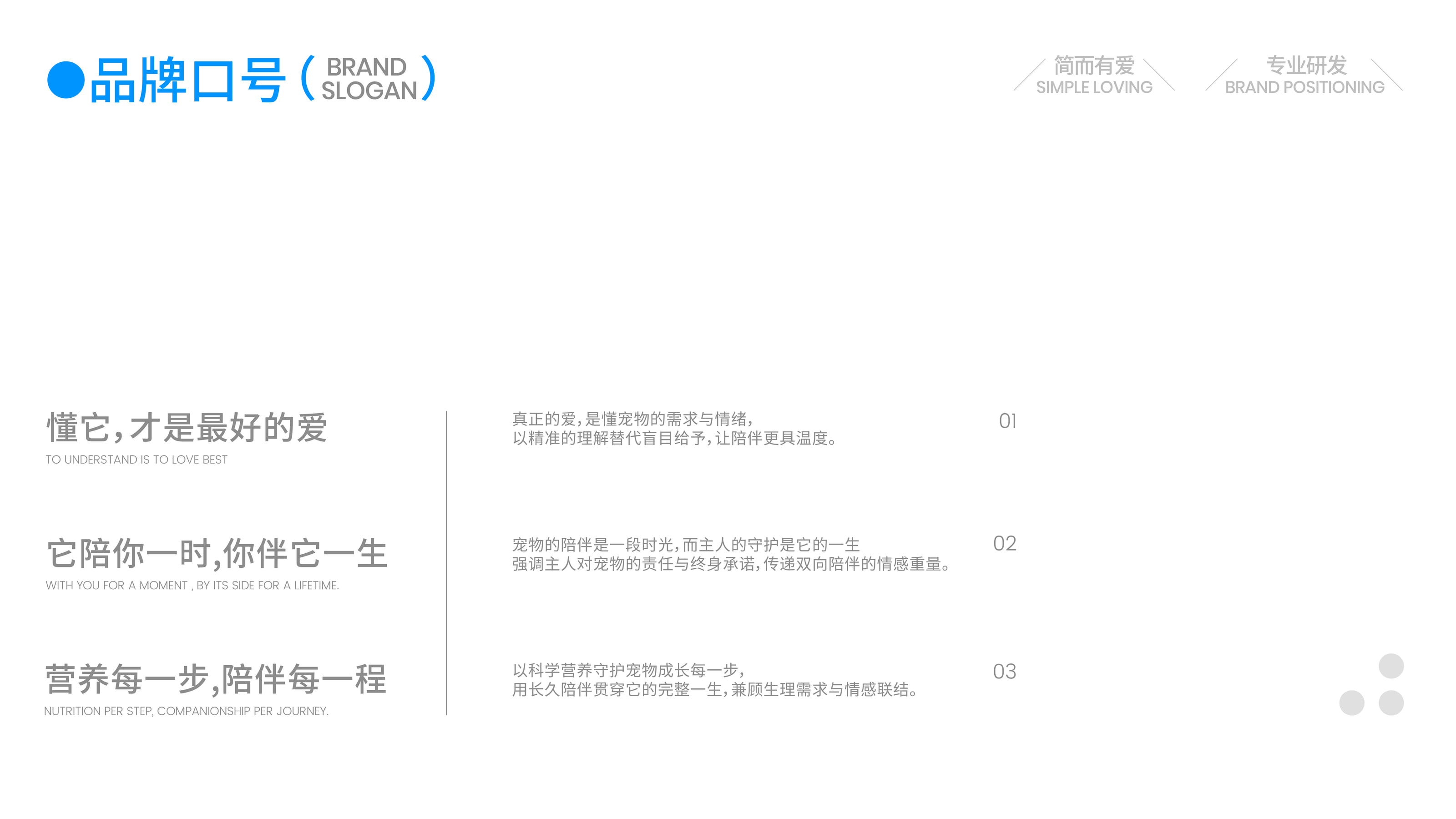 伴宠品牌全案项目页面 11